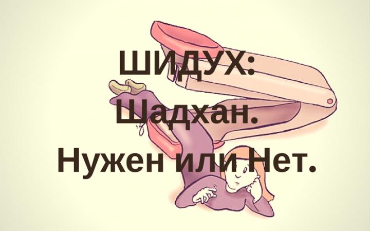 Разговор начистоту. Шадхан. Нужен или нет. Разговор начистоту. Шадхан. Нужен или нет.