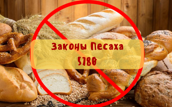 Законы Песаха 5780 | Хамец — уборка и проверка
