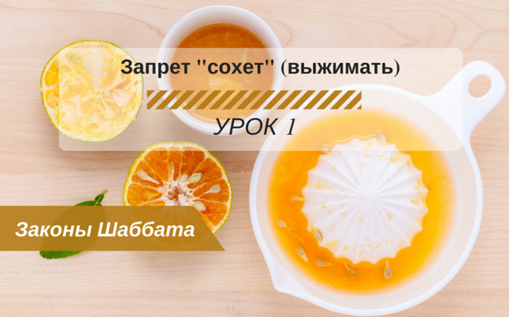 Запрещенные работы в Шаббат — Запрет «сохет» (выжимать) Урок 1 — Законы Шаббата Запрещенные работы в Шаббат — Запрет «сохет» (выжимать) Урок 1 — Законы Шаббата