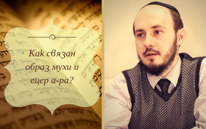 Как связан образ мухи и ецер а-ра?