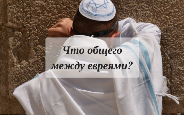 Что общего между евреями?