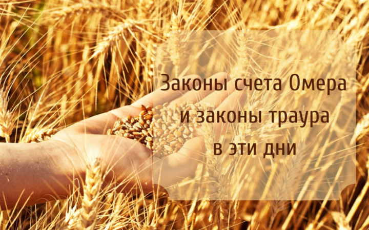 Законы счета Омера и законы траура в эти дни Законы счета Омера и законы траура в эти дни