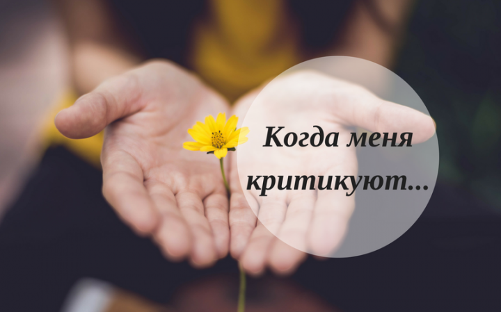 Когда меня критикуют…