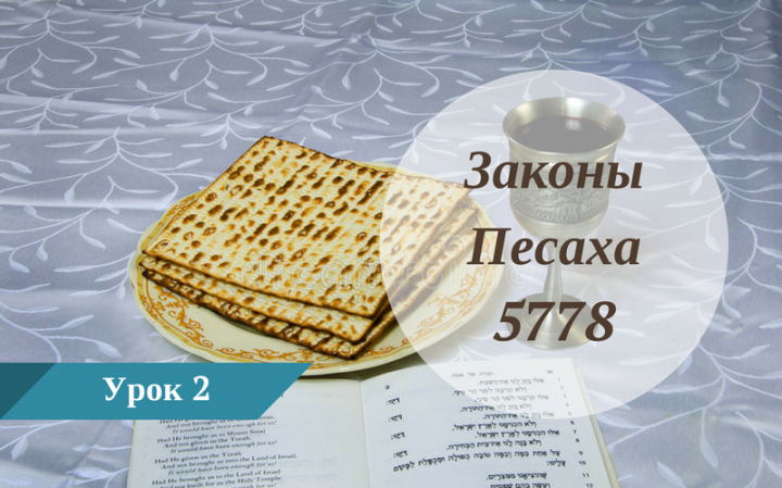 Законы Песаха 5778 | Урок 2 Законы Песаха 5778 | Урок 2