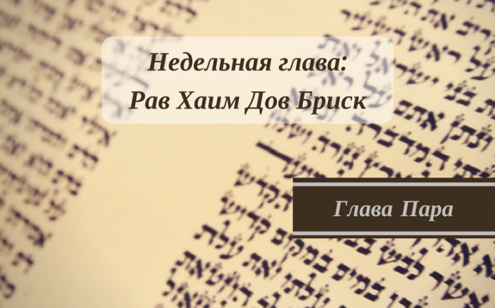 Глава Пара | Тора не на Небесах Глава Пара | Тора не на Небесах