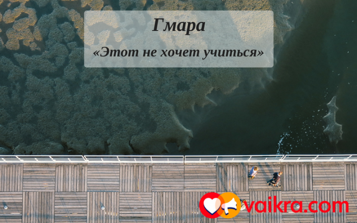 Гмара: «Этот не хочет учиться»