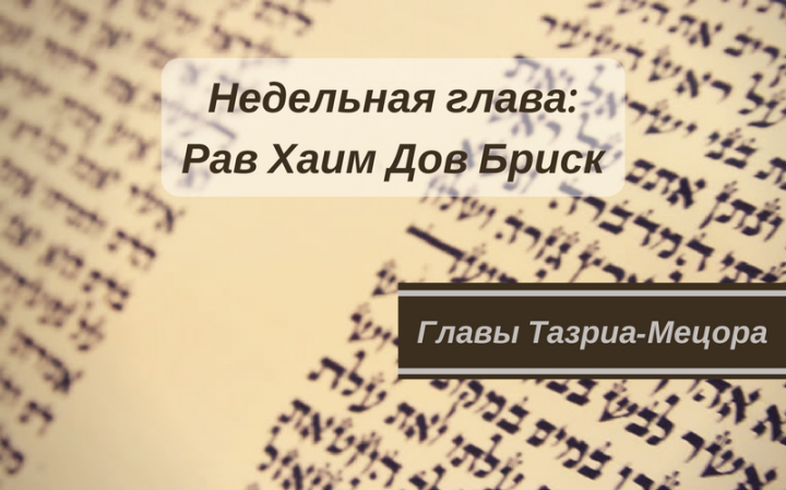 Недельные главы Тазриа-Мецора | О святости и нечистой силе Недельные главы Тазриа-Мецора | О святости и нечистой силе