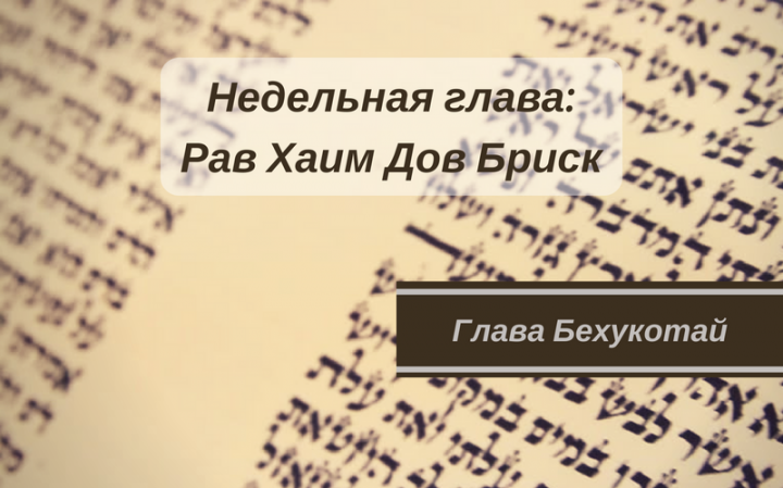 Недельная глава Бехукотай | В чем ценность мира на земле? Недельная глава Бехукотай | В чем ценность мира на земле?