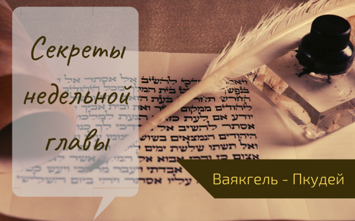 Секреты недельной главы с равом Бриском | Главы Ваякгель — Пкудей