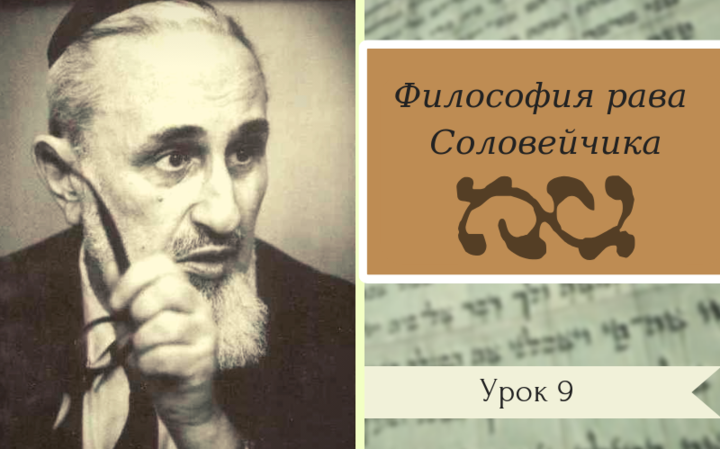 Философия рава Соловейчика | Урок 9. Изучение Торы: интеллект и импрессия