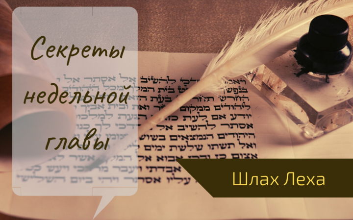 Секреты недельной главы с равом Бриском | Глава Шлах Леха Секреты недельной главы с равом Бриском | Глава Шлах Леха