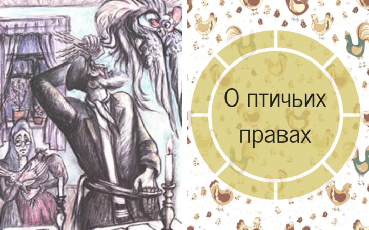 О птичьих правах О птичьих правах