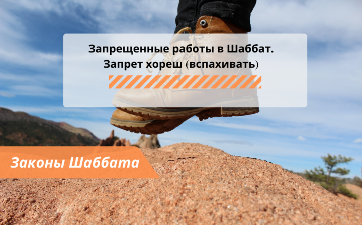 Запрещенные работы в Шаббат — Запрет хореш (вспахивать) — Законы Шаббата Запрещенные работы в Шаббат — Запрет хореш (вспахивать) — Законы Шаббата