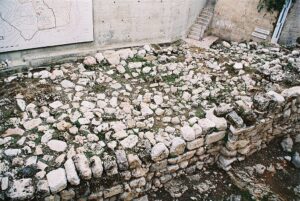 ms21 2