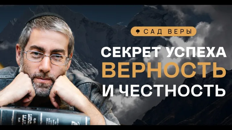 oblozhka 3681