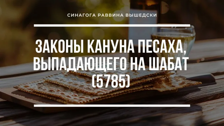 putevoditel po rosh ashana 5785 rav vyshedski kopiya