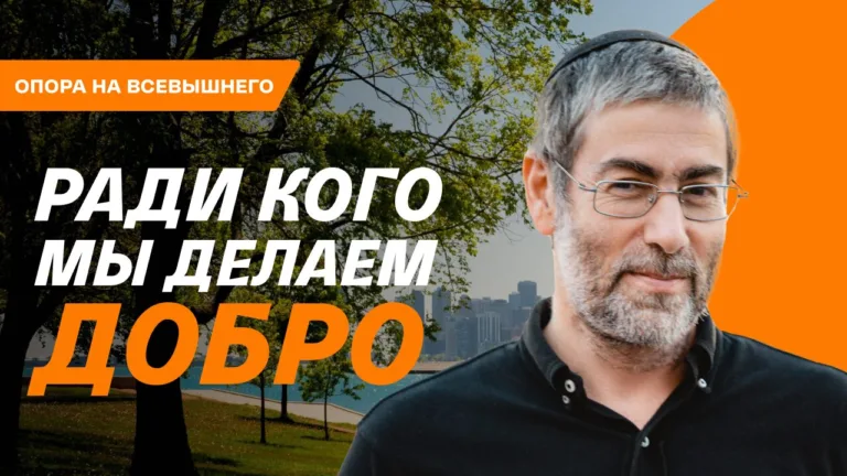 oblozhka 6101