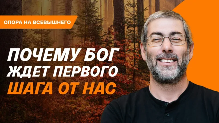 oblozhka 6491