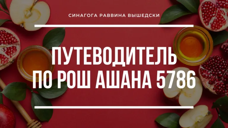 putevoditel po rosh ashana 5786 rav vyshedski